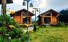 Chapa Stream House